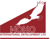 Hoko International Development